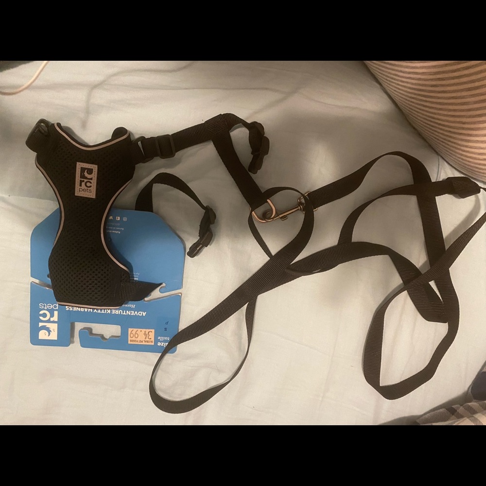 Cat leash for small cats